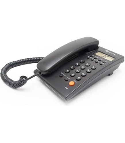 Nadine kokrak fotosurati